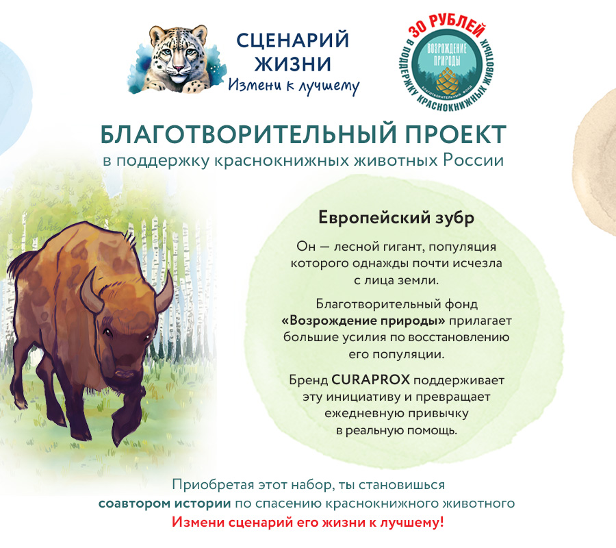 Набор Краснокнижные животные "Европейский зубр"