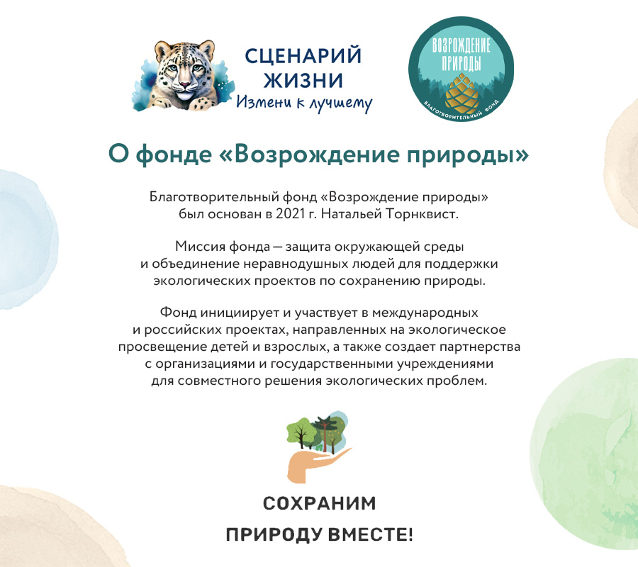 Набор Краснокнижные животные "Европейский зубр"