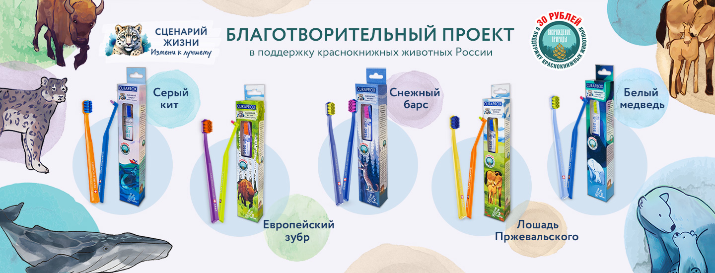 Проект краснокнижные животные